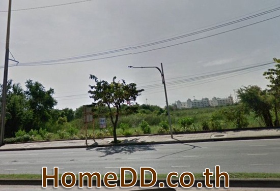 ขายหรือเช่า ที่ดินริมถนนหลวงแพ่ง ลาดกระบัง กรุงเทพมหานคร L-5430