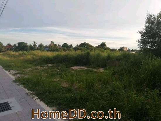 ขายที่ดินเทศบาลเมืองบ้านฉาง  บ้านฉาง ระยอง L-5522