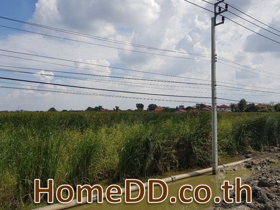 ขายที่ดินเปล่า ใกล้สนามบินสุวรรณภูมิ ลาดกระบัง กรุงเทพมหานคร L-5559