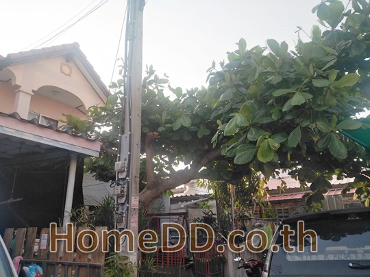 ทาวน์เฮ้าส์ หลังมุม หมู่บ้านนครทอง 3 ซอยชำนิ-ท้ายบ้านใหม่ สมุทรปราการ รหัส T-6078