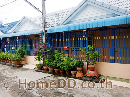 ขายด่วน ทาวน์เฮ้าส์ชั้นเดียว ซอยอยู่สุข บางเมือง สมุทรปราการ T-6261