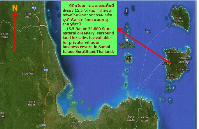 ขายที่ดินเปล่า 15.5 ไร่ ตำบลลิปะน้อย เกาะสมุย สุราษฎร์ธานี รหัส L-1994