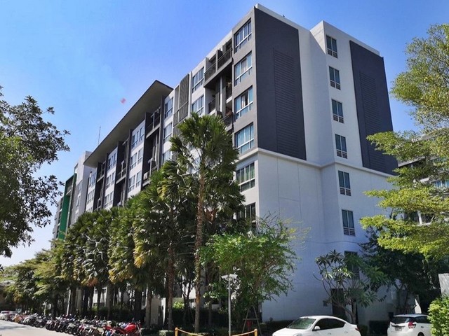 ขาย เนทูเรซ่า แคสเคด  ต.นาเกลือ อ.บางละมุง จ.ชลบุรี   PAP2-0640