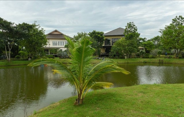 ที่ดินปากช่องเขาใหญ่ติดน้ำละตะคอง 10-0-63 ไร่ พร้อมบ้าน 2 หลัง 0945601207
