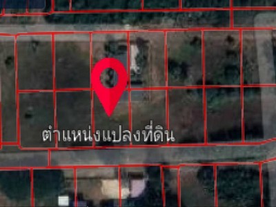 ขาย ที่ดินเปล่า พญาเย็น ปากช่อง พื้นที่ 100 ตารางวา ห่างจากแดรี่โฮม ถนนมิตรภาพ เพียง 500 เมตร เหมาะซื้อไว้ใช้สร้างบ้านหลังวัยเกษียณ 