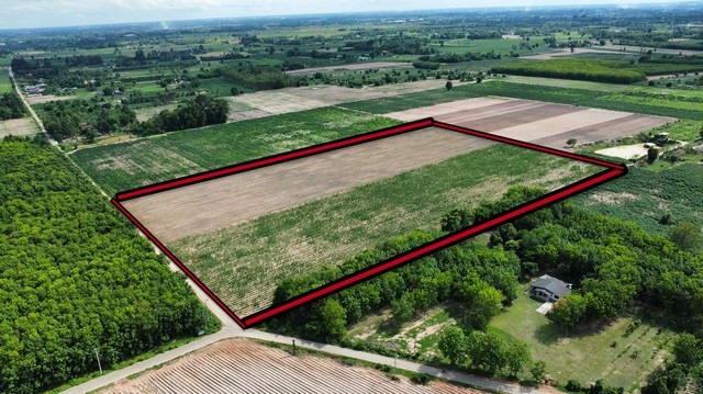 ขายที่ดิน 350,000 /ไร่ จังหวัดพิษณุโลก อำเภอเมืองพิษณุโลก ตำบล บ้านป่า