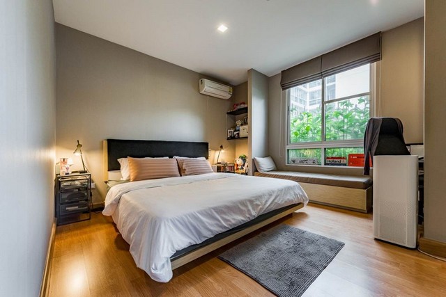 ให้เช่าคอนโดทรี Tree Condo สุขุมวิท 52 พระโขนง 60 ตร.ม. 1 นอน 1 น้ำ 1 อเนกประสงค์ 1 นั่งเล่น เฟอร์นิเจอร์ครบ 250 เมตรจาก BTS อ่อนนุช