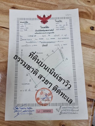 ขายที่ดินวิวทะเลเกาะพะงัน จำนวน 3 แปลง อำเภอเกาะพงัน จังหวัดสุราษฎร์ธานี
