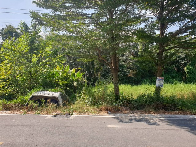 ที่ดิน - 970000 THB  พื้นที่ 0 ไร่ 0 Ngan 10 SQ.WA ไม่ไกลจาก ? บิ๊กซี  ? โลตัส  ? ดูโฮม  ? วัดอัยยิการาม  ? ตลาดต้นไม้ คลอง 9  ? โรงเรียนสารสาสน์วิเทศรังสิต คลอง 7  ? โรงเรียนจุฑารัตน์วิทยา  ? โรงเรียนวัดอัยยิการาม  ? โรงพยาบาลธัญบุรี  ? โรงพยาบาลคลองหลวง  ? โรงพยาบาลมหาวชิราลงกรณธัญบุรี  ? ใกล้ทางด