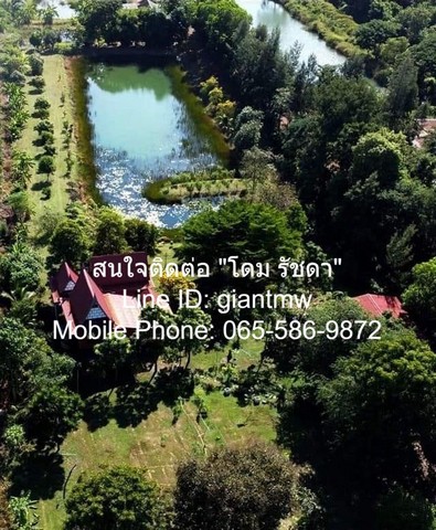 ขายด่วน! condo. พรีมิโอ ไพร์ม เกษตร นวมินทร์ พ.ท. 34 ตารางเมตร 1BEDROOM1ห้องน้ำ ไม่ไกลจาก ทางด่วนรามอินทรา-อาจณรงค์ one price