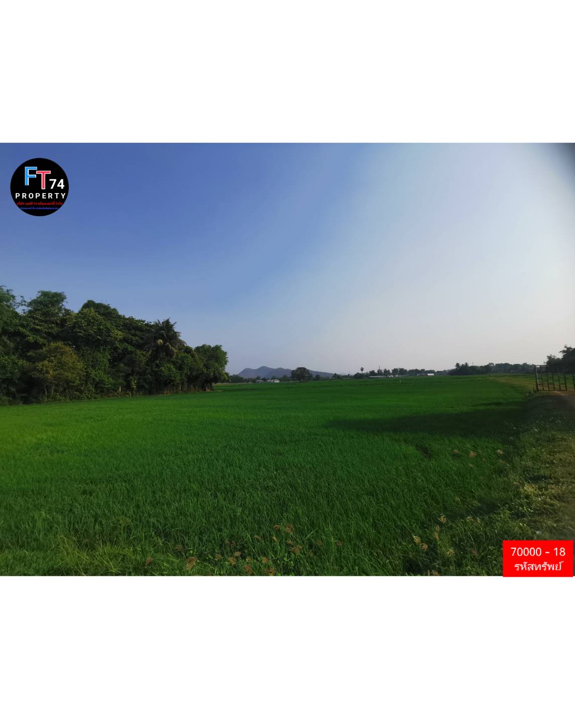 70000 - 18 ขายที่ดินแปลงสวย ท่ามกลางธรรมชาติ จังหวัดราชบุรี