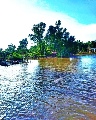 ขายที่ดินแปลงติดแม่น้ำบางปะกง (เกาะลัด) 6 ไร่ 1 งาน 32 ตร.ว.