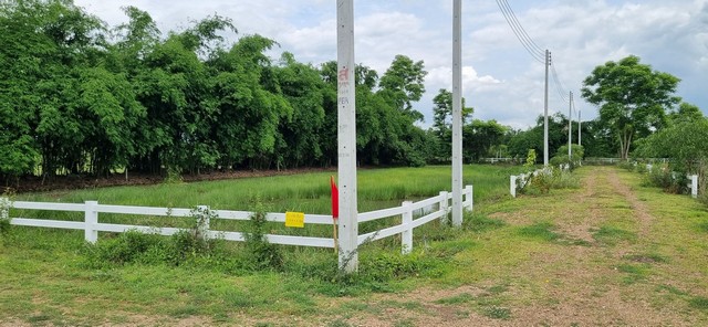 ขายที่ดินคลองสิบสาม บึงน้ำรักษ์ ธัญบุรี ปทุมธานี น้ำไฟพร้อม ใกล้กับถนนหลัก ขนาด 170-200 ตรว. ราคา ตรว.ละ 6000 บาท