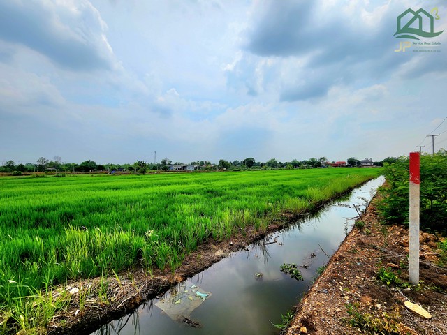 ขายที่ดินคลอง 12 หนองเสือ 5 ไร่ ติดถนน 2 ด้าน เหมาะปลูกบ้านสวน ทำเกษตรพอเพียงได้ ทำโกดัง อยู่ใกล้แหล่งชุมชน