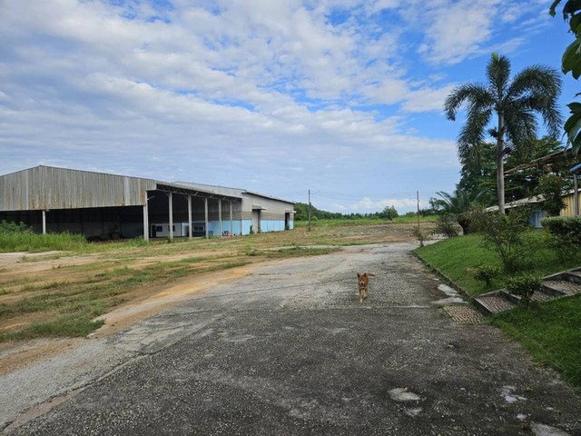Sale Rent ขาย เช่า โรงงาน 5 ไร่ พื้นที่สีม่วงลาย นิคมพัฒนา ซอย10