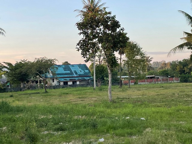 ขายด่วน ที่ดินสวย ทำเลดี ใกล้หาดไม้ขาว จ.ภูเก็ต 79,900,000 บาท  11 ไร่ 3 งาน 13 ตรว 