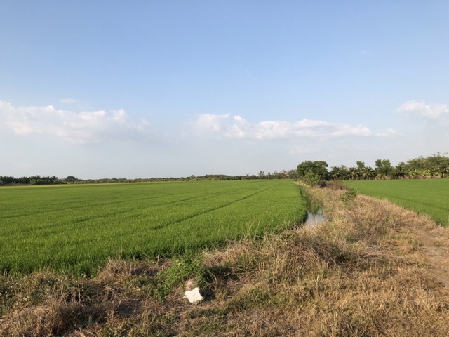 กรกฎามาบรรจบครบ 9ปีทีมขายทำการตลาด โปรเด็ดเอาใจผู้ซื้อ ที่ดิน ลาดหลุมแก้ว  คมนาคมสะดวกสบาย เหมะปลูกบ้านทำการเกษตรดินดีวิวสวย บ่อเงินปุทม ใกล้แหล่งน้ำเหมาะทำเกษตร  ใกล้ชุมชน 5ไร่  อำเภอลาดหลุมแก้ว ปทุมธานี ลาดหลุมแก้วไร่ละ 1ลบ. โทร 083-7124115