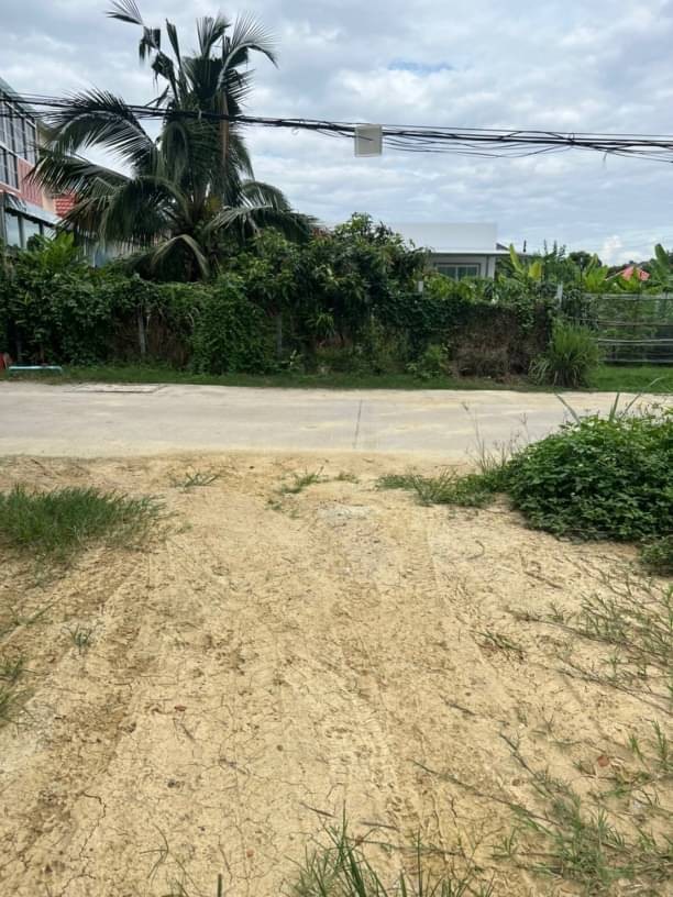 ที่ดินติดถนน ขาย 5.6 ล้าน 218 ตรว. ดอนแก้ว แม่ริม ใกล้รพ.นครพิงค์ เหมาะสำหรับสร้างหอพัก บ้านขาย เดินทางสะดวก เข้าเมืองเพียงไม่กี่นาที