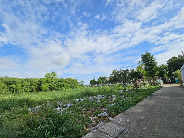 พื้นที่ดิน - พื้นที่ =  0 ไร่ 3 Ngan 6 ตาราง-วา  20000000 บ. ราคา งาม -