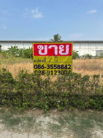 ขายที่ดินเปล่า ?2 ไร่ ? ซอยกิ่งแก้ว 25/1  ราชาเทวะ  บางพลี  สมุทรปราการ  ZT480